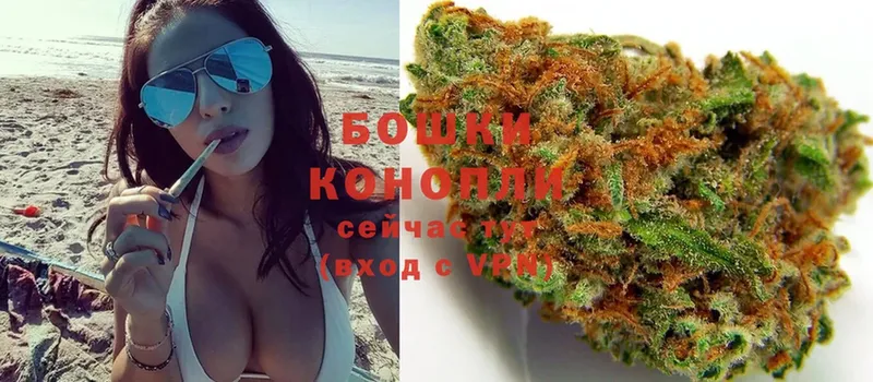 где продают   Грязовец  omg вход  Бошки Шишки White Widow 